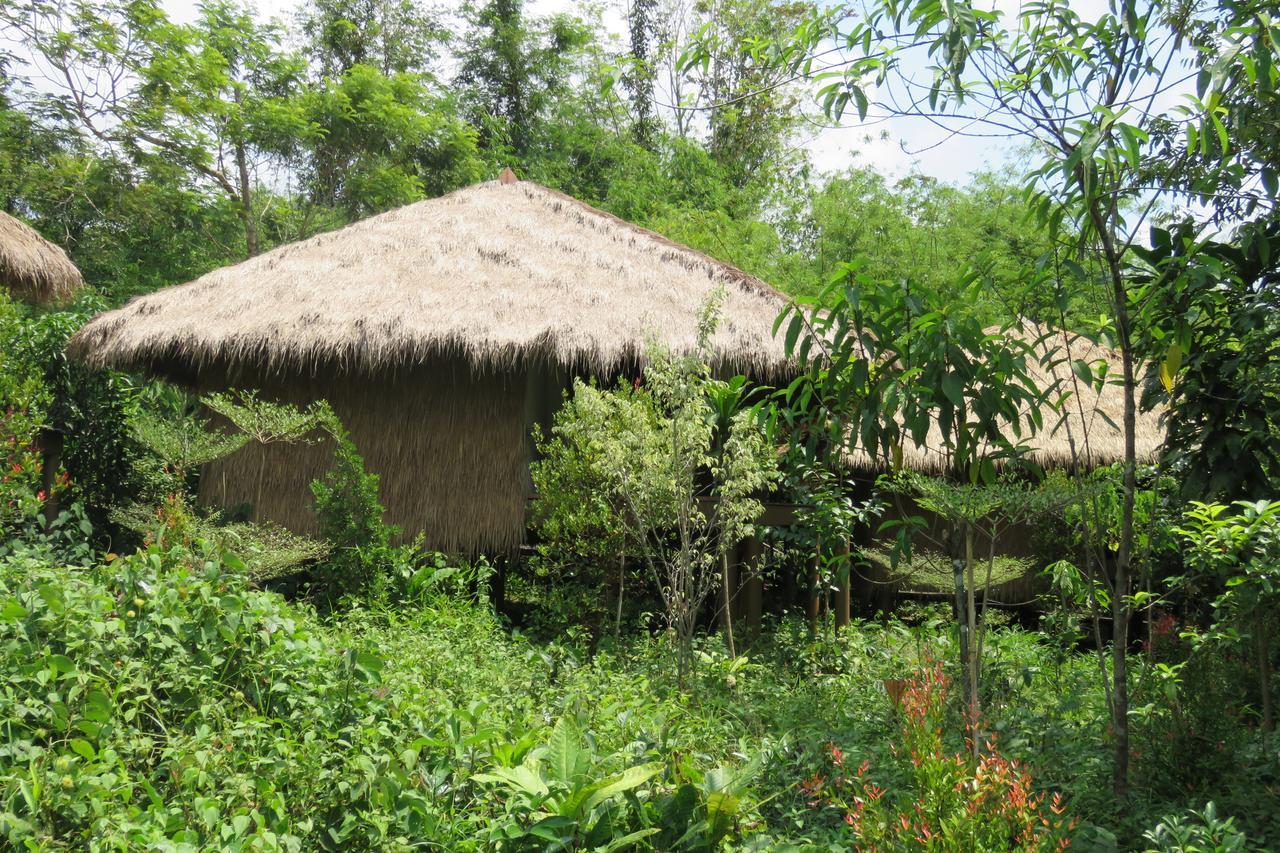 Rainbow Lodge Tatai Dış mekan fotoğraf